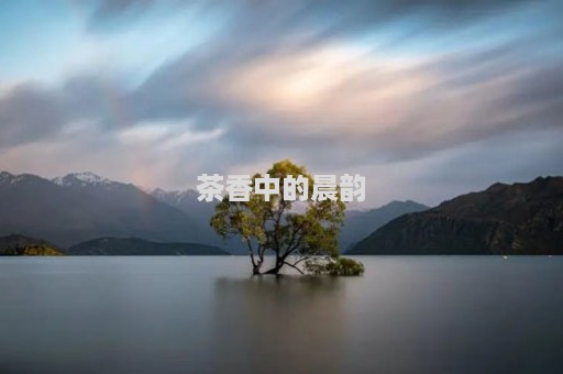 茶香中的晨韵