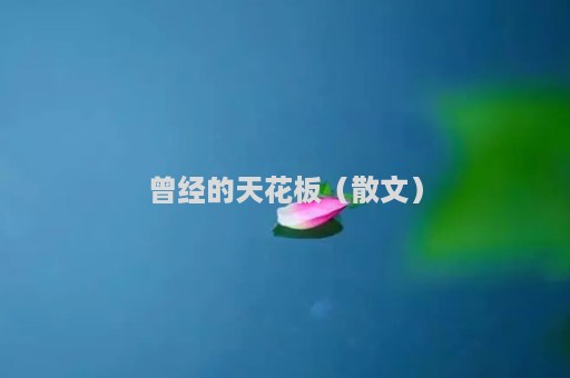 曾经的天花板（散文）