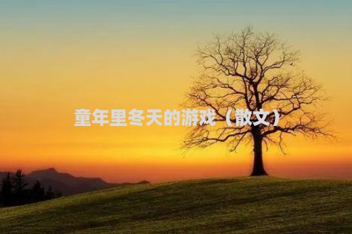 童年里冬天的游戏（散文）
