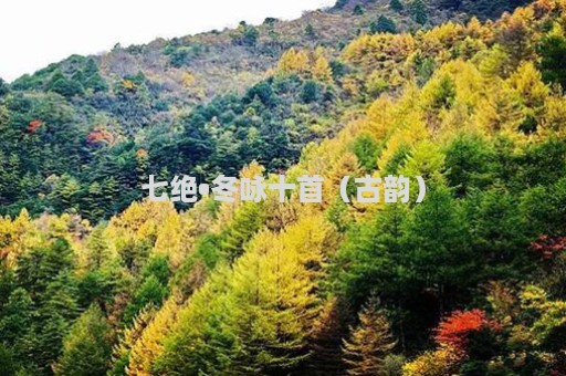 七绝•冬咏十首（古韵）