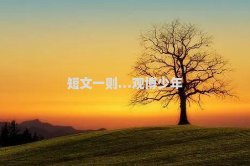 短文一则…观博少年